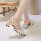 Murioki-Shoes Female Summer 2024 New Women Pointed Head Sandals Elegant Modern Sandals Woman Pointed Toe Slip on Thin Heels Shoes Women